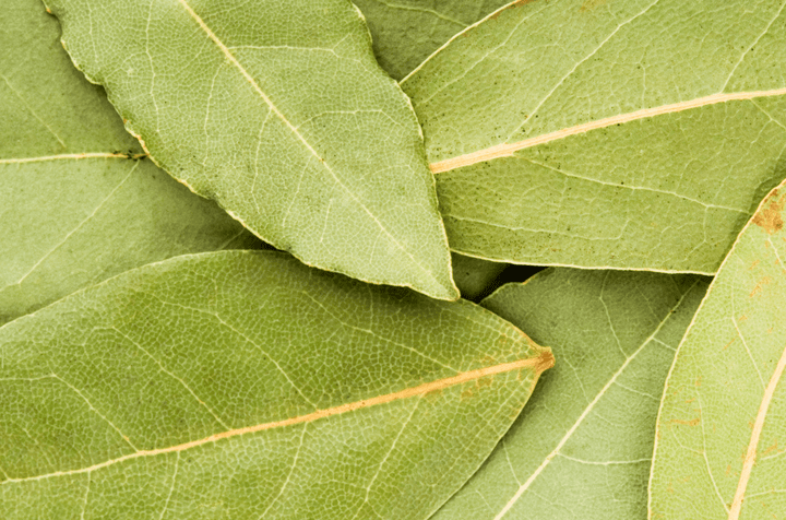Bay Leaf - Whole