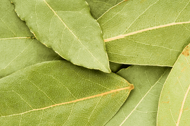 Bay Leaf - Whole - BBQRubs.com