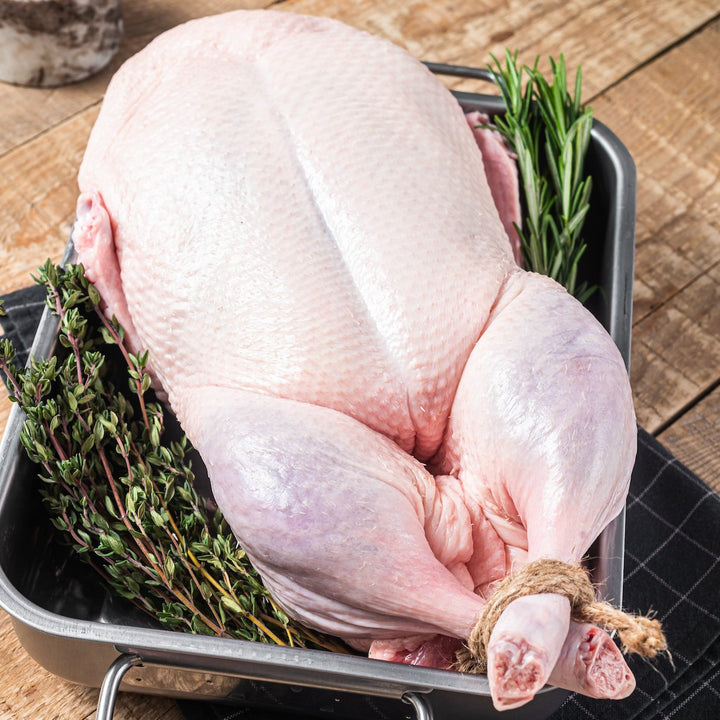 Bird Brine