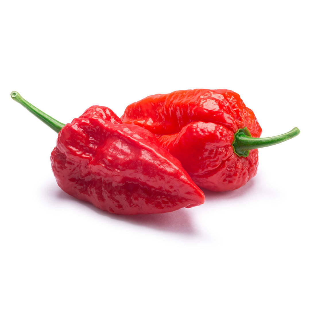 Ghost Pepper Powder