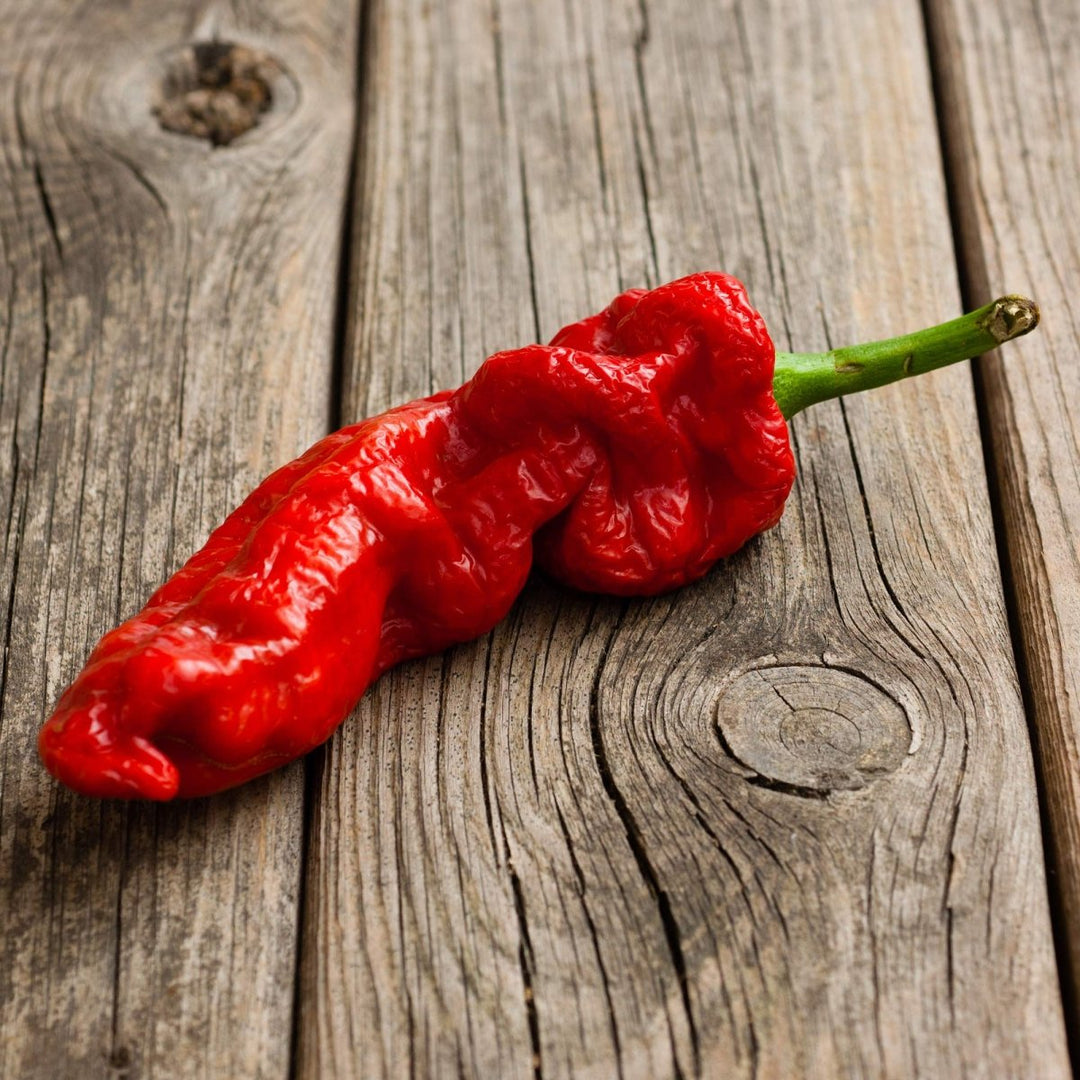 Ghost Pepper Sea Salt (Naga Jolokia) - BBQRubs.com
