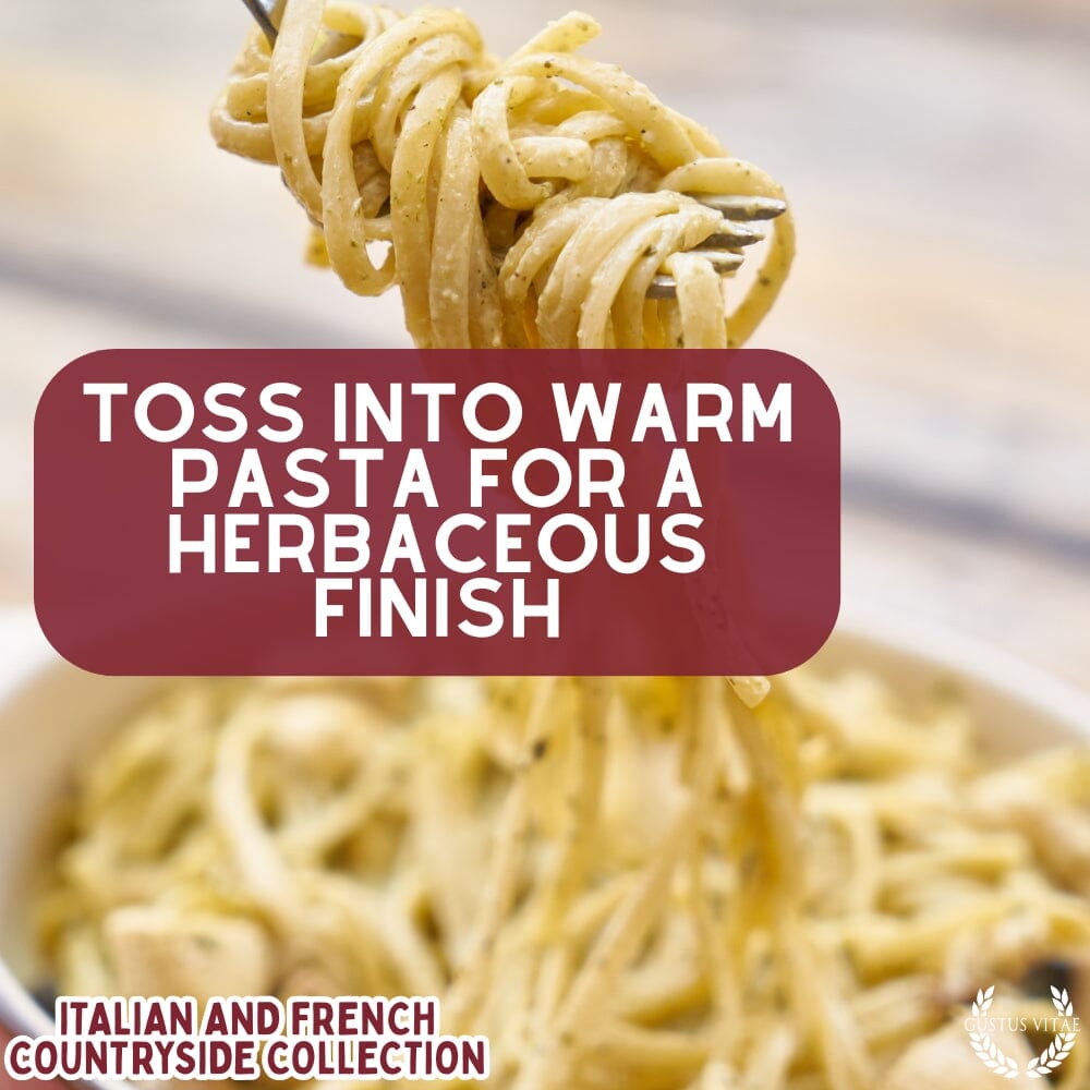 Italian and French Countryside Spice Blend Collection - 3 Tins - BBQRubs.com