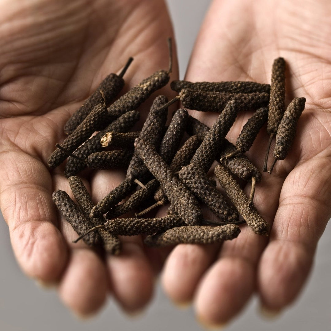 Long Wild Picked Pepper - BBQRubs.com