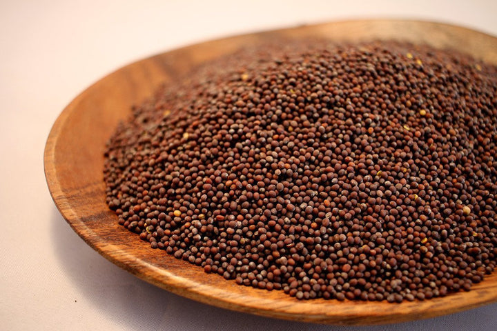 Mustard Seed - Brown