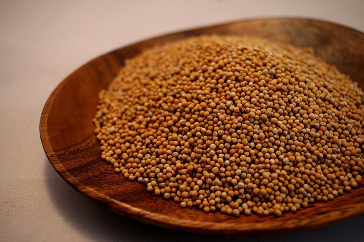 Mustard Seed - Yellow