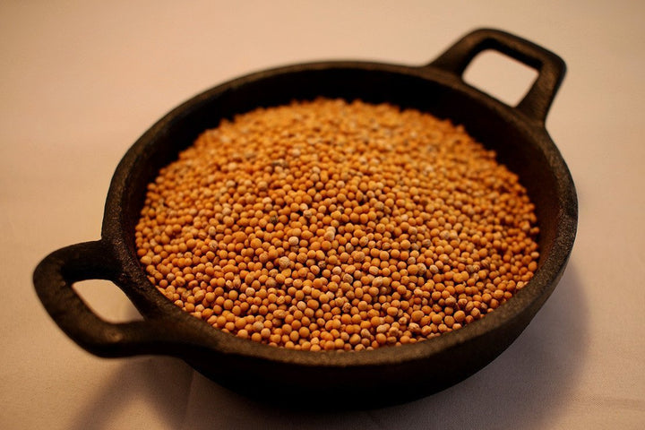 Mustard Seed - Yellow - BBQRubs.com