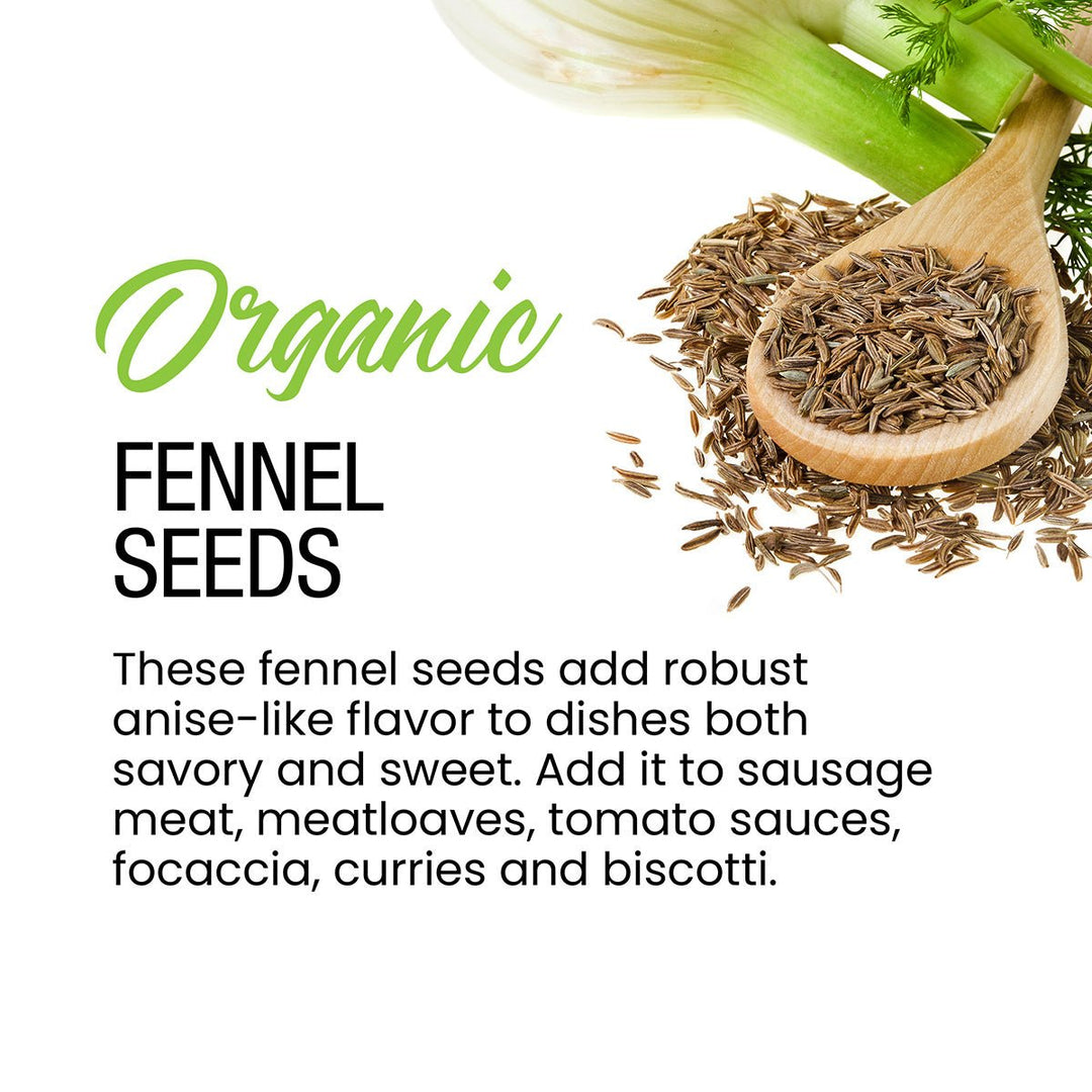 Organic Fennel Seeds - BBQRubs.com