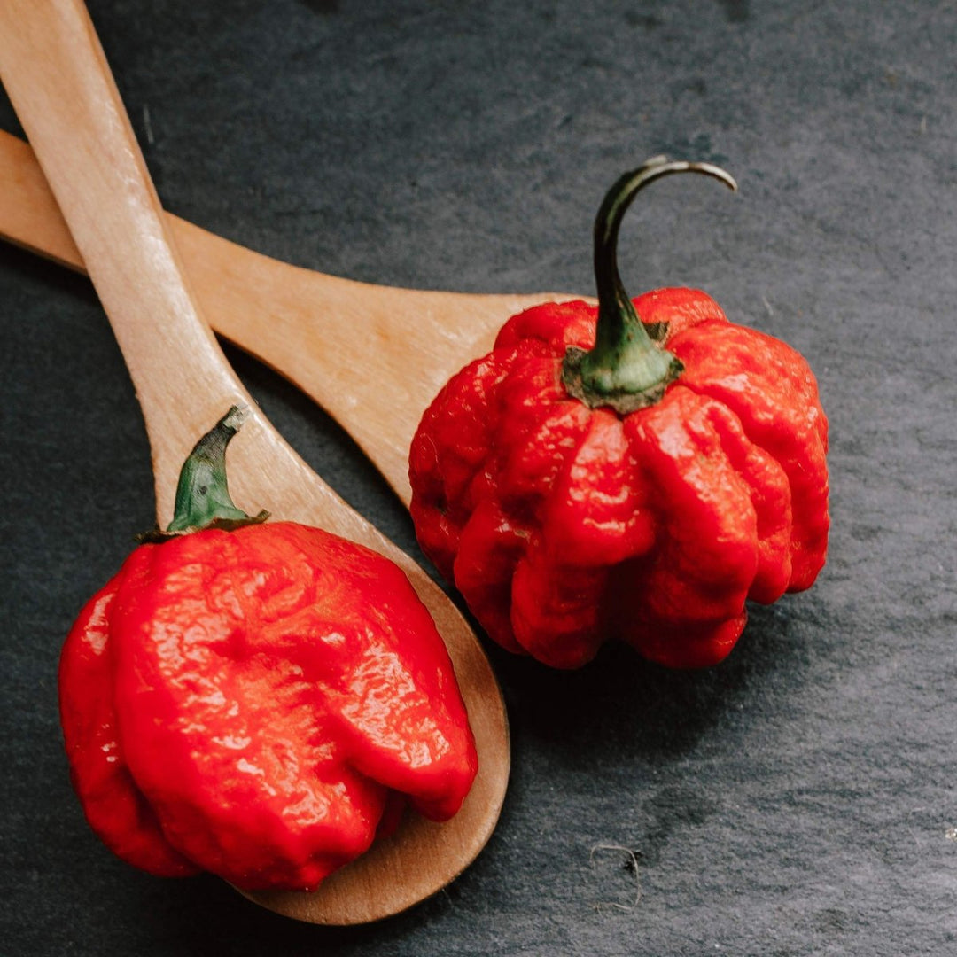 Smoked Ghost Pepper Sea Salt - BBQRubs.com