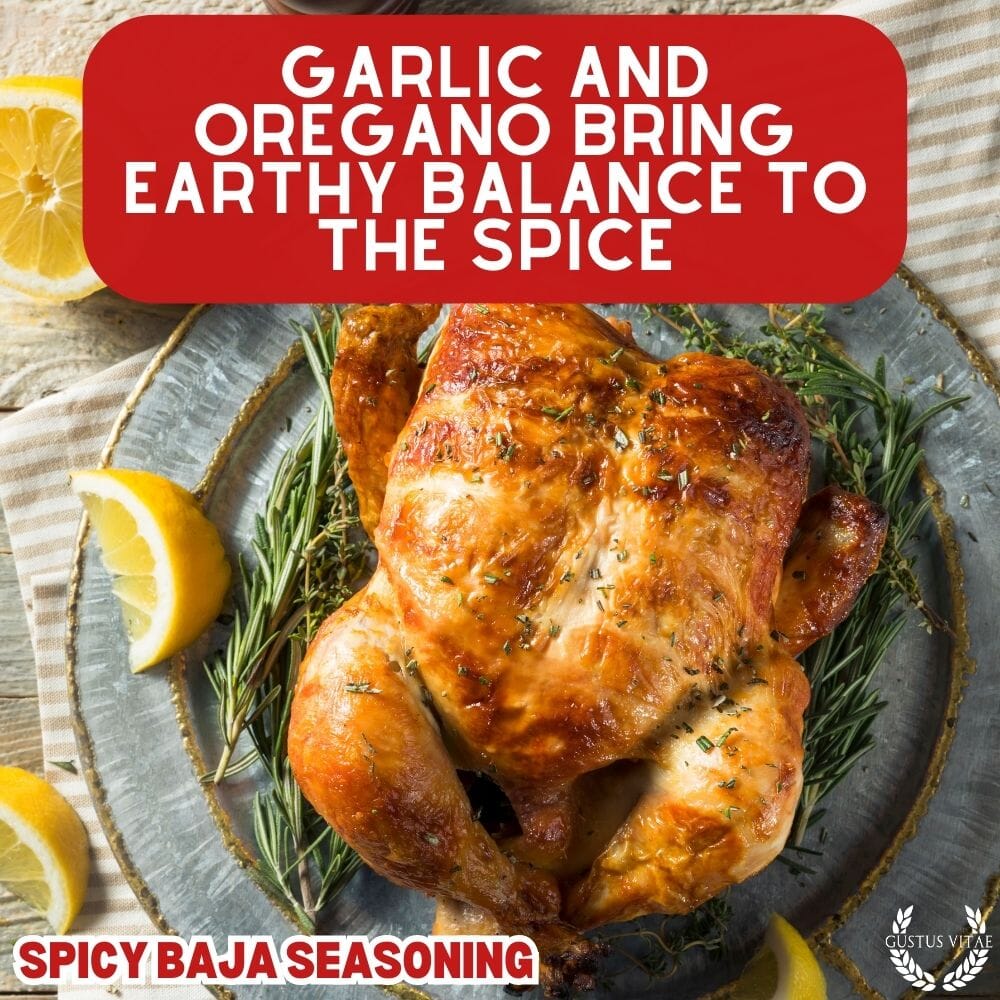 Spicy Baja Seasoning - BBQRubs.com